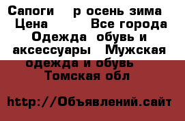 Сапоги 35 р.осень-зима  › Цена ­ 700 - Все города Одежда, обувь и аксессуары » Мужская одежда и обувь   . Томская обл.